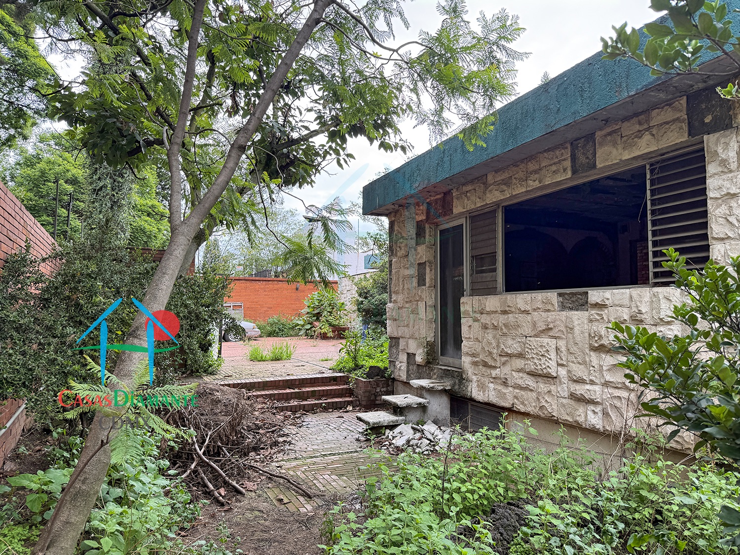 Bosques de las Lomas Terreno Jaguar BBC - Propiedad a demoler 18